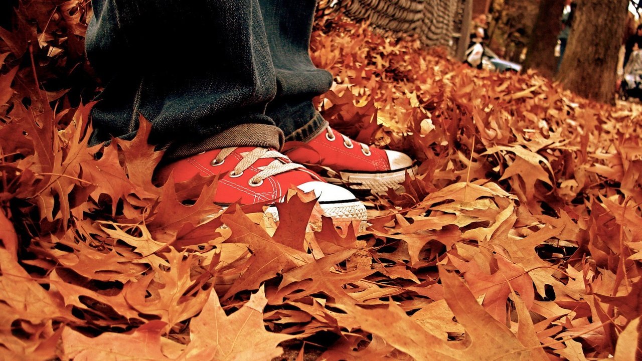 Обои листья, осень, кеды, джинсы, ноги, listya, osen, kedy, осенние листья, leaves, autumn, sneakers, jeans, feet, autumn leaves разрешение 1920x1440 Загрузить