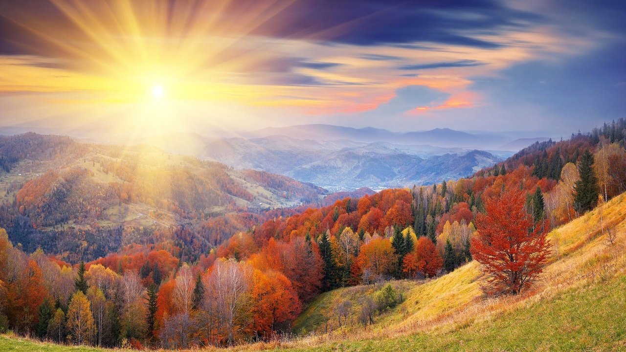 Обои горы, солнце, лес, осень, mountains, the sun, forest, autumn разрешение 1920x1080 Загрузить