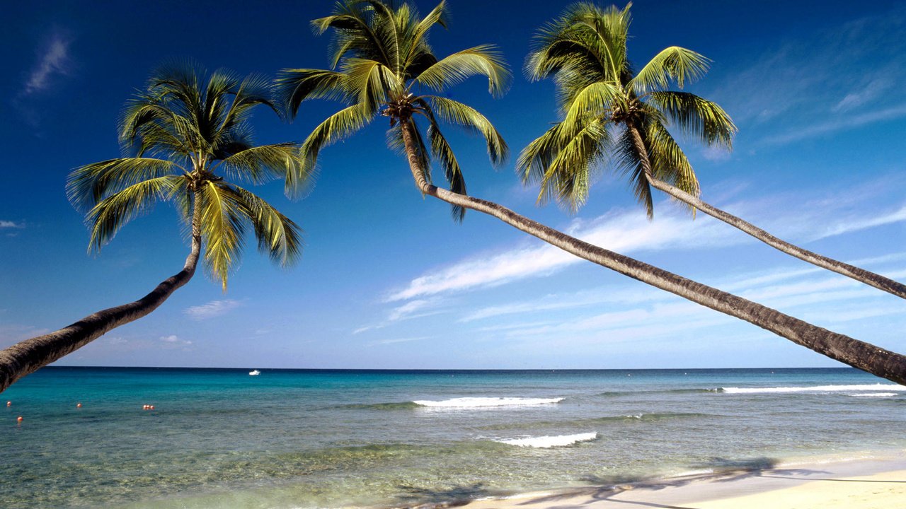 Обои пляж, тропики, beach, tropics разрешение 2000x1333 Загрузить