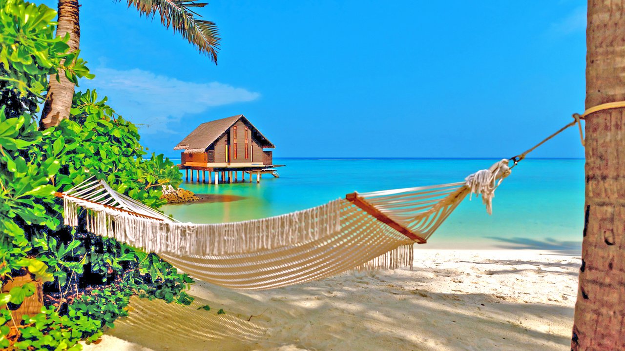 Обои море, пляж, гамак, тропики, sea, beach, hammock, tropics разрешение 2536x1615 Загрузить