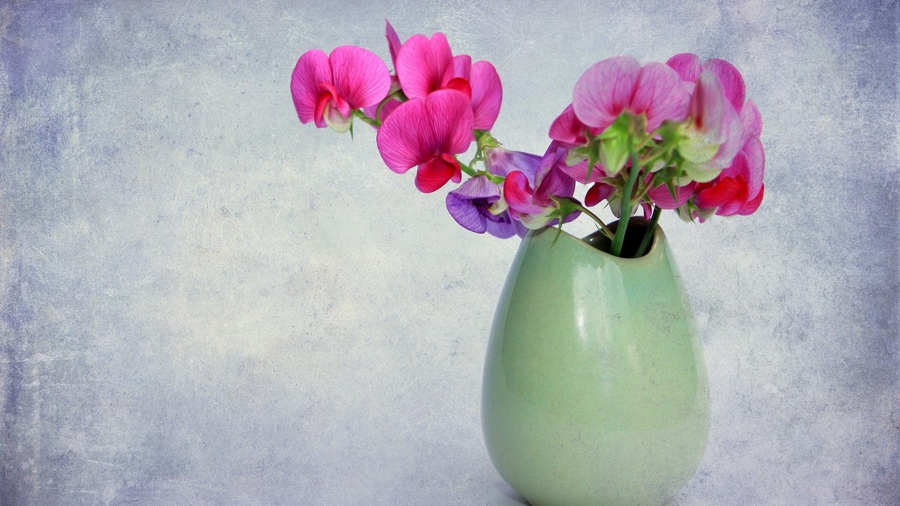 Обои цветы, фон, букет, ваза, орхидея, flowers, background, bouquet, vase, orchid разрешение 2048x1365 Загрузить