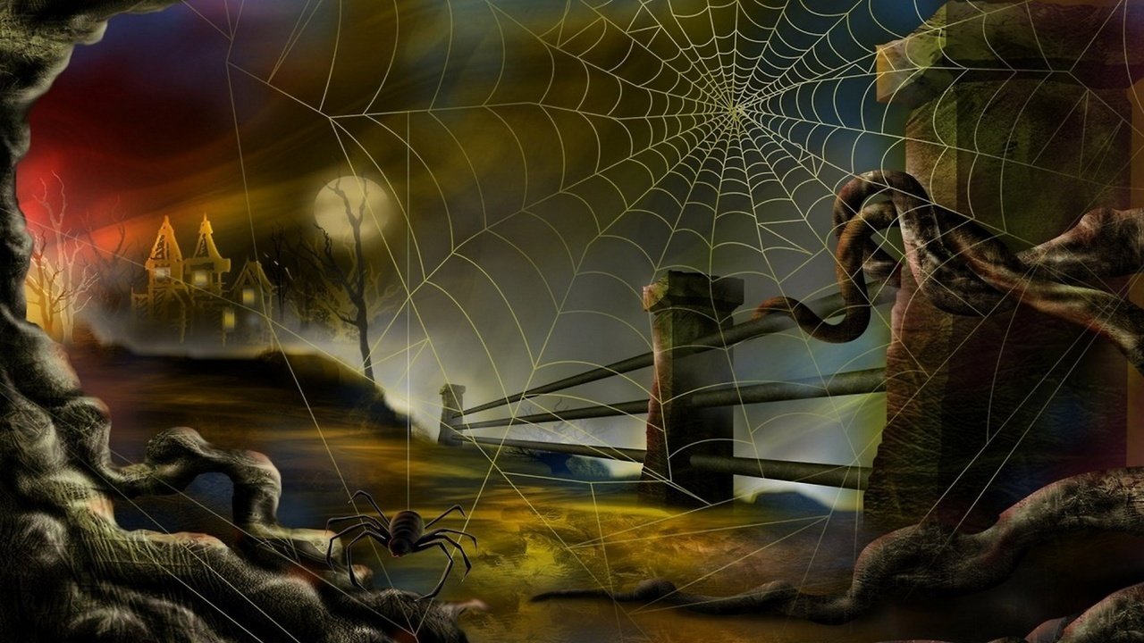 Обои паук и паутина, spider and web разрешение 2560x1440 Загрузить