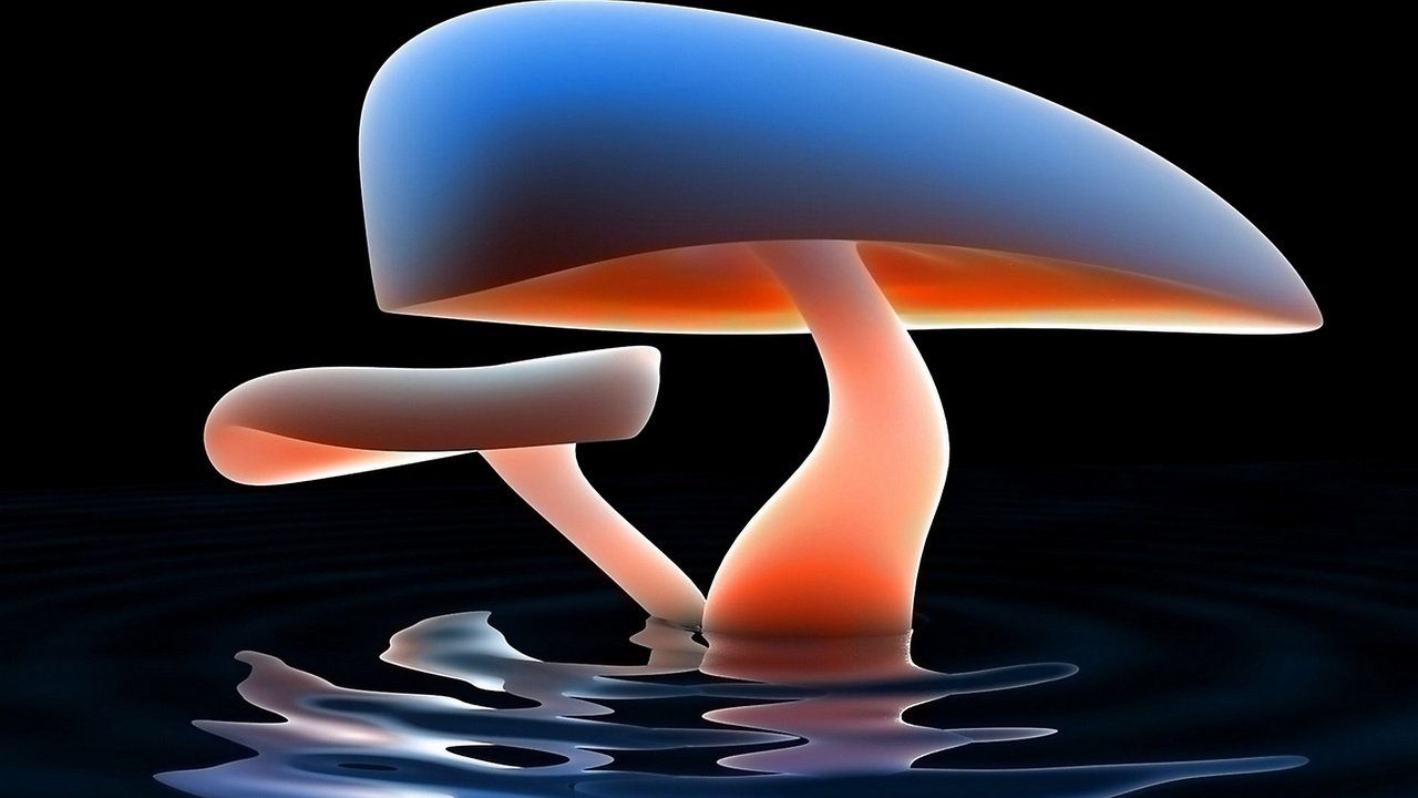 Обои вода, абстракция, отражение, грибы, гриб, гриб в воде, 3д графика, water, abstraction, reflection, mushrooms, mushroom, mushroom in the water, 3d graphics разрешение 1920x1080 Загрузить