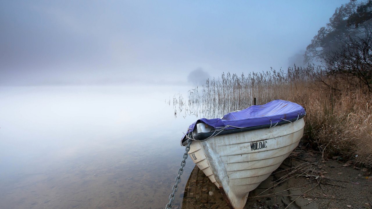 Обои озеро, туман, лодка, камыш, lake, fog, boat, reed разрешение 1920x1200 Загрузить