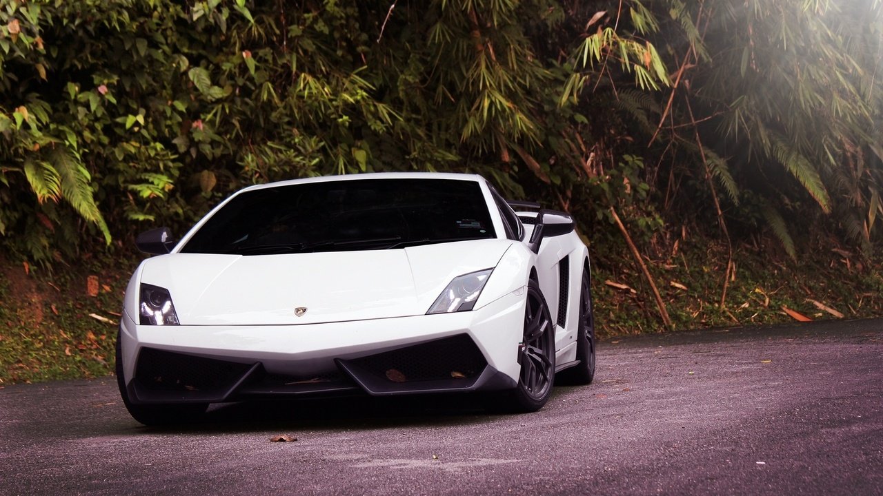 Обои белая, ламборгини, галлардо, lp570-4 superleggera, white, lamborghini, gallardo разрешение 1920x1200 Загрузить