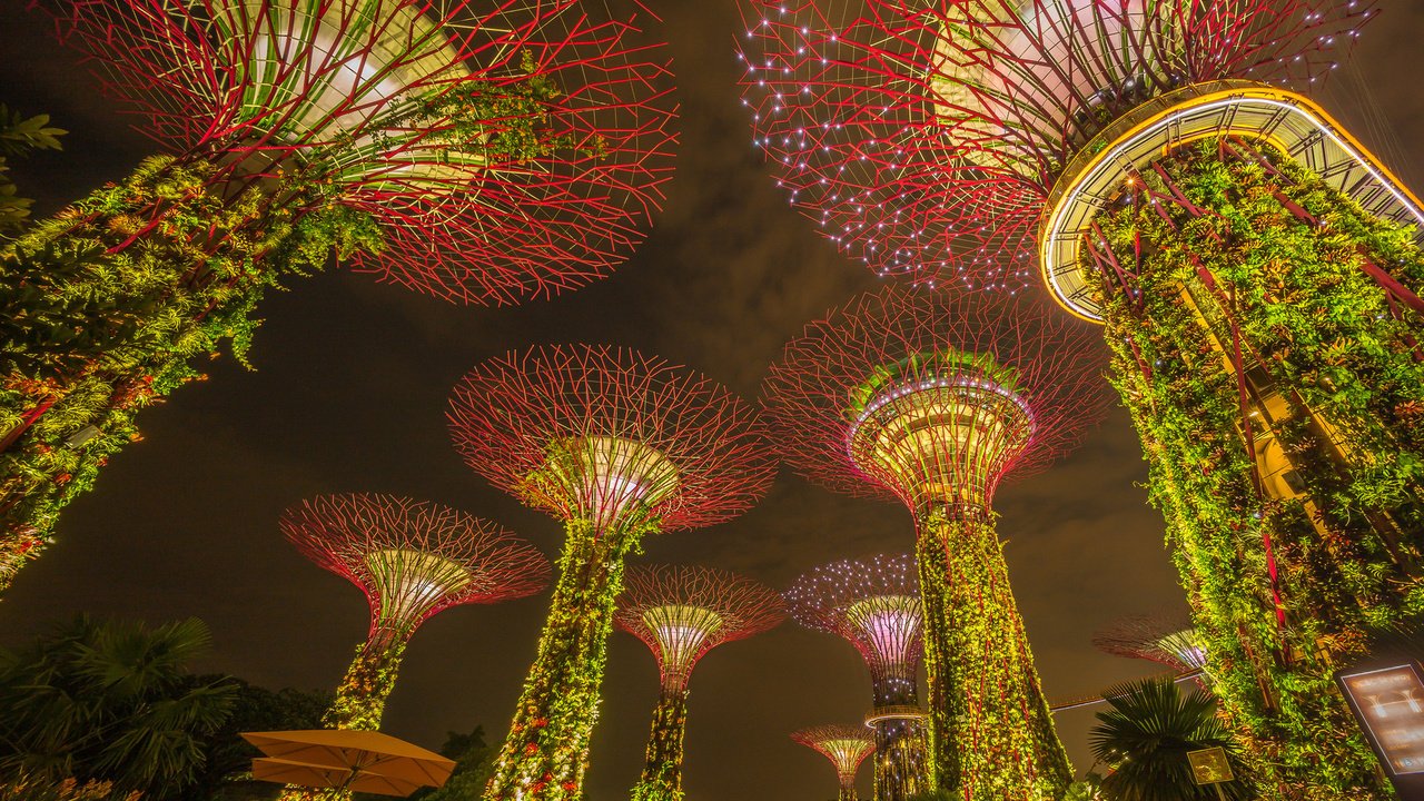 Обои ночь, огни, парк, сад, подсветка, сингапур, marina bay sands, марина бей, marina bay gardens, night, lights, park, garden, backlight, singapore, marina bay разрешение 1920x1200 Загрузить