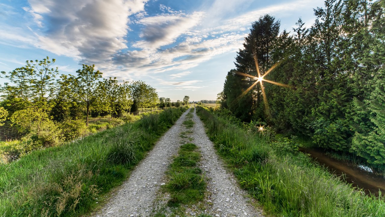 Обои дорога, деревья, солнце, пейзаж, road, trees, the sun, landscape разрешение 2374x1500 Загрузить