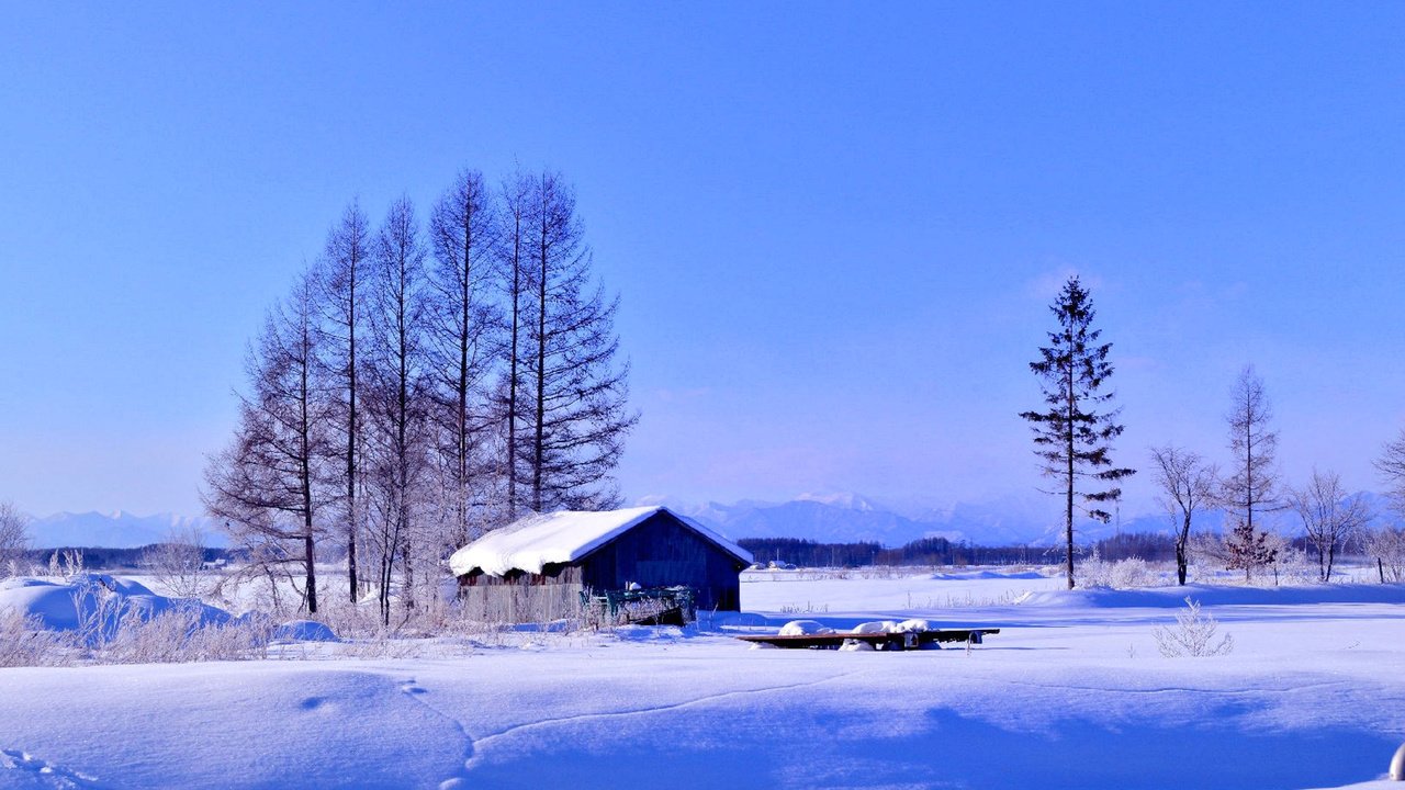 Обои деревья, снег, зима, поле, дом, trees, snow, winter, field, house разрешение 1920x1200 Загрузить