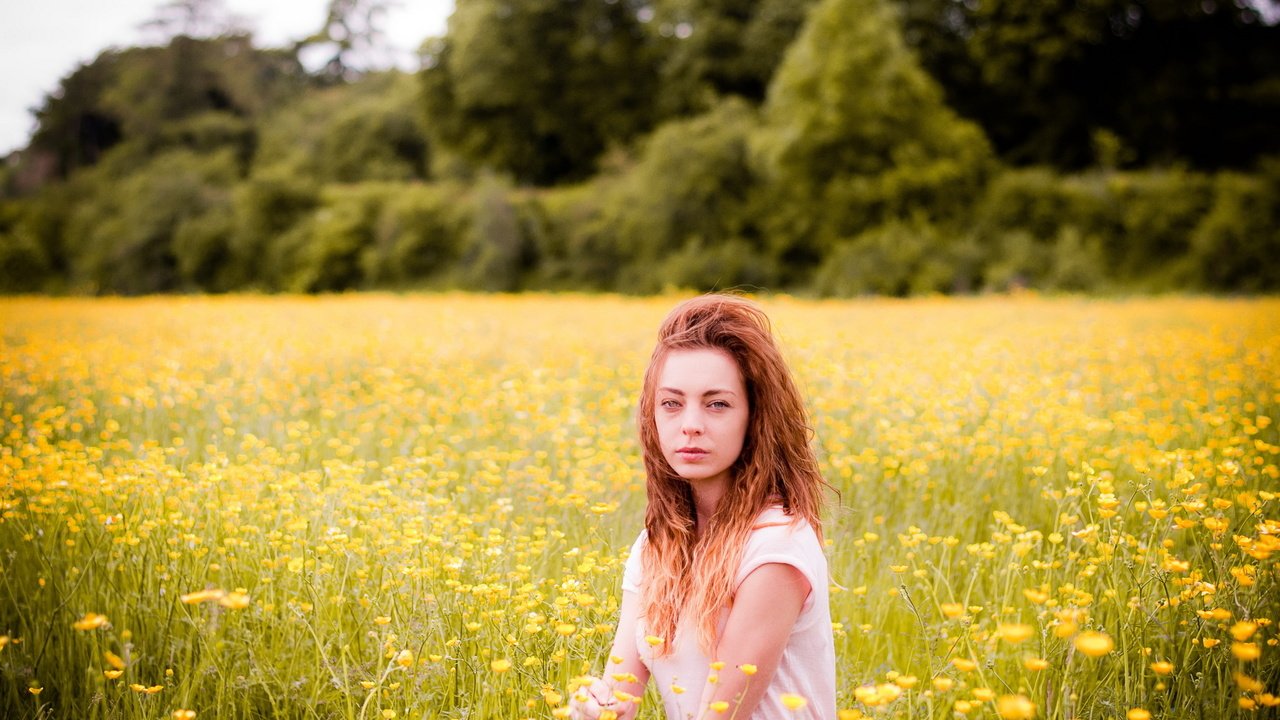 Обои цветы, девушка, поле, лето, flowers, girl, field, summer разрешение 2560x1600 Загрузить