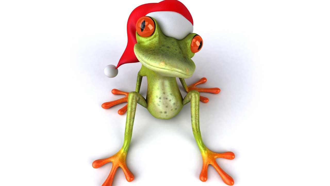 Обои глаза, лягушка, шапка, праздник, eyes, frog, hat, holiday разрешение 6000x4000 Загрузить