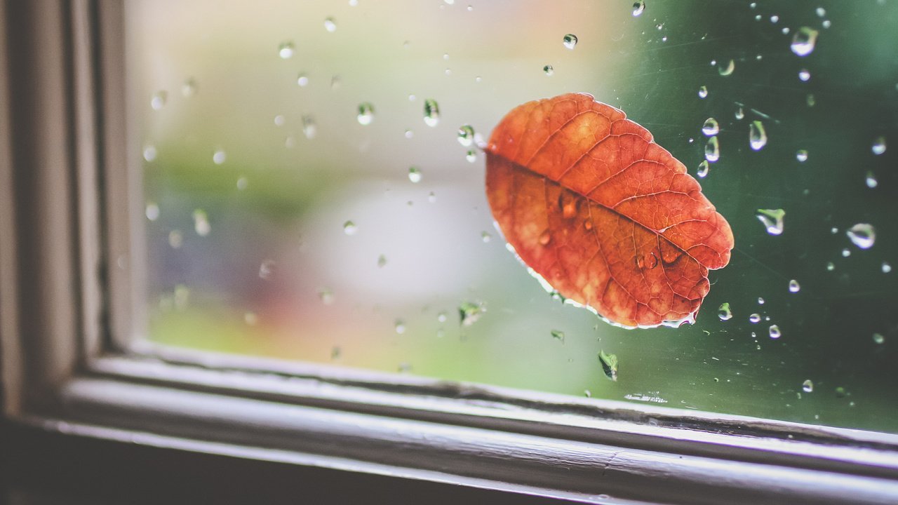 Обои капли, осень, лист, дождь, окно, стекло, drops, autumn, sheet, rain, window, glass разрешение 2048x1365 Загрузить