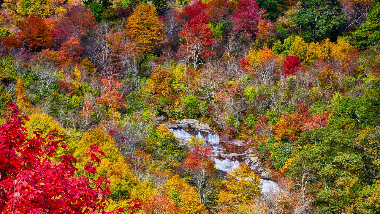 Обои деревья, осень, поток, речка, trees, autumn, stream, river разрешение 2048x1365 Загрузить