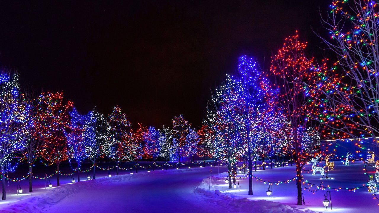 Обои дорога, ночь, деревья, снег, парк, иллюминация, город, road, night, trees, snow, park, illumination, the city разрешение 1920x1200 Загрузить