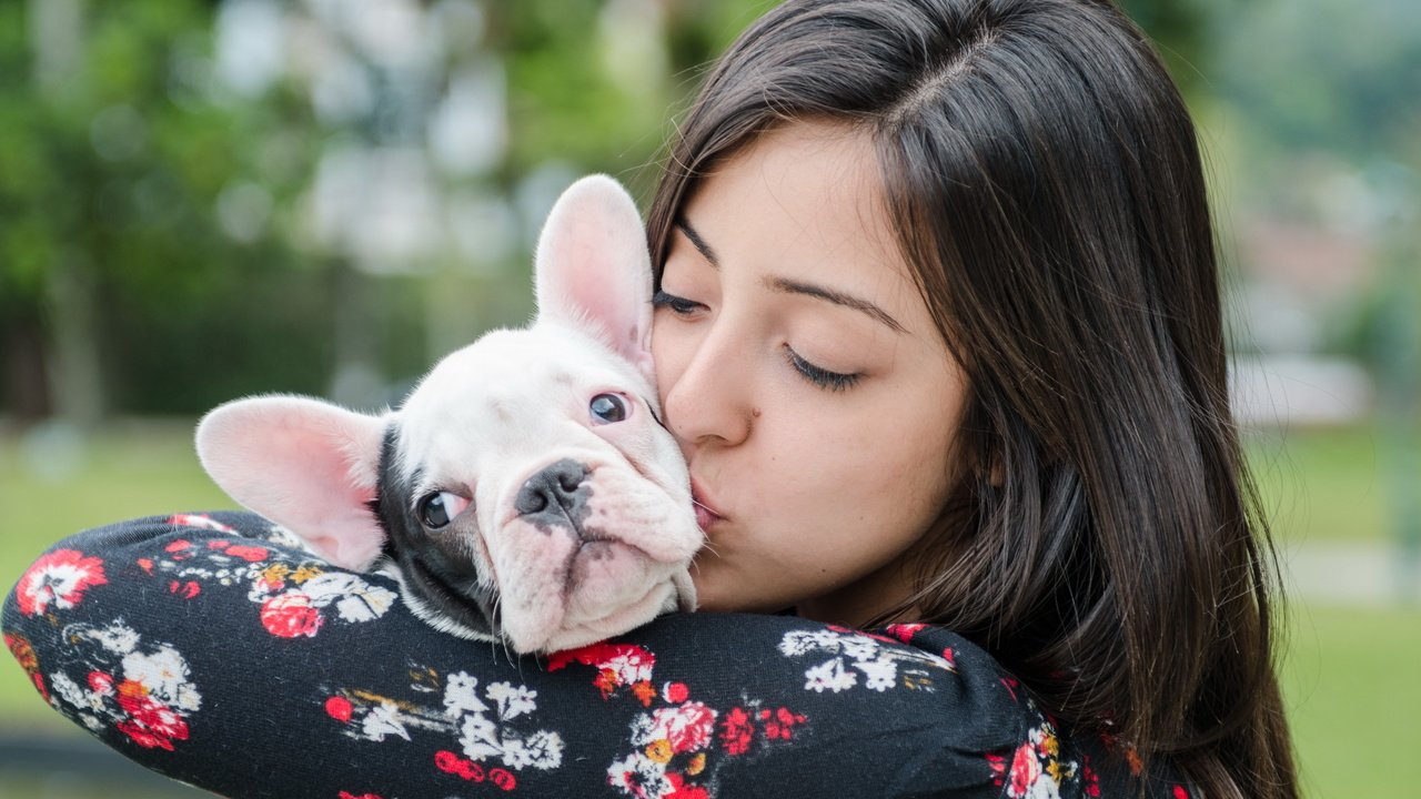 Обои девушка, собака, дружба, французский бульдог, girl, dog, friendship, french bulldog разрешение 2560x1600 Загрузить