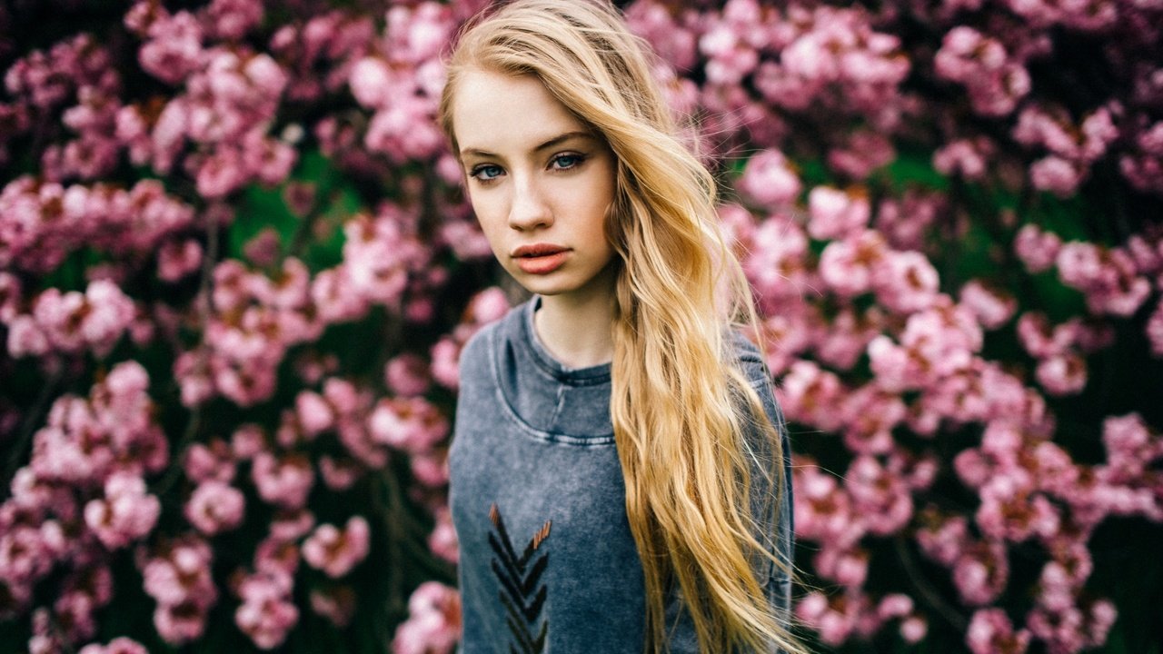 Обои цветы, девушка, фон, блондинка, взгляд, flowers, girl, background, blonde, look разрешение 1920x1200 Загрузить