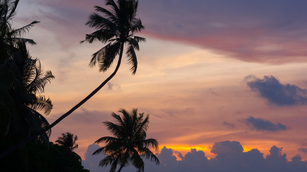 Обои небо, природа, закат, пальмы, океан, мальдивы, the sky, nature, sunset, palm trees, the ocean, the maldives разрешение 2880x1800 Загрузить