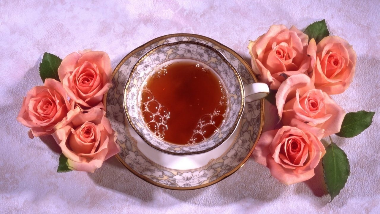 Обои цветы, розы, блюдце, чашка, чай, натюрморт, flowers, roses, saucer, cup, tea, still life разрешение 1920x1339 Загрузить