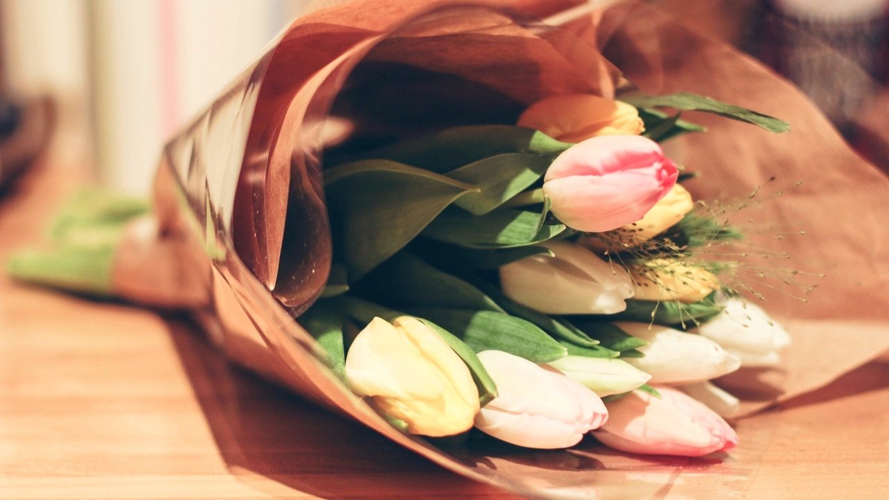 Обои цветы, букет, тюльпаны, flowers, bouquet, tulips разрешение 2304x1536 Загрузить