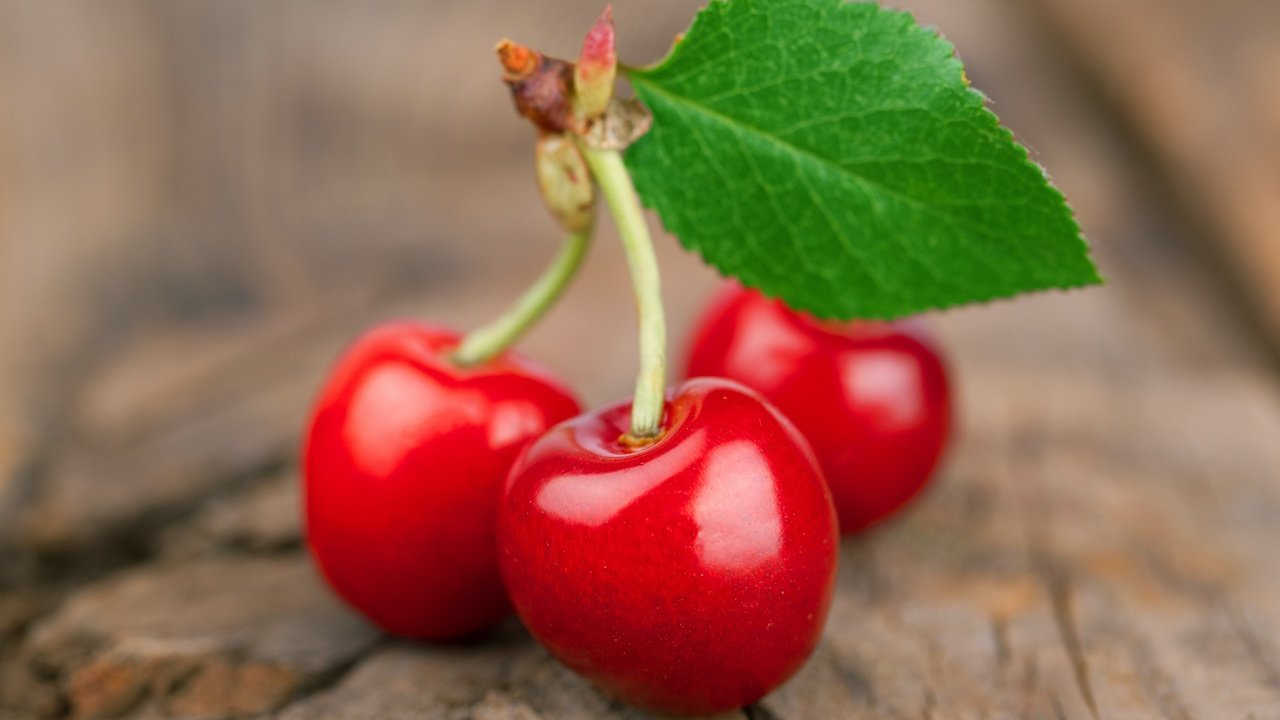 Обои черешня, веточка, ягоды, вишня, листик, cherry, sprig, berries, leaf разрешение 3500x2280 Загрузить