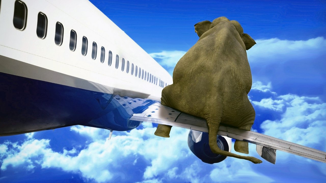 Обои небо, облака, самолет, слон, the sky, clouds, the plane, elephant разрешение 1920x1200 Загрузить