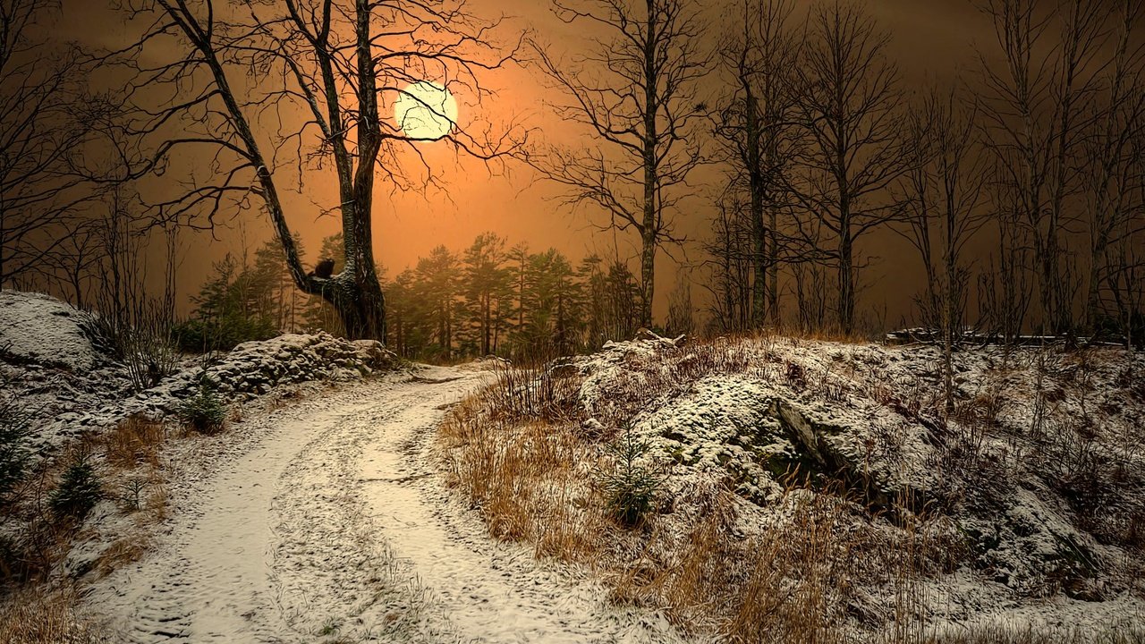 Обои природа, лес, закат, зима, туман, дорога. деревья, nature, forest, sunset, winter, fog, road. trees разрешение 2048x1353 Загрузить