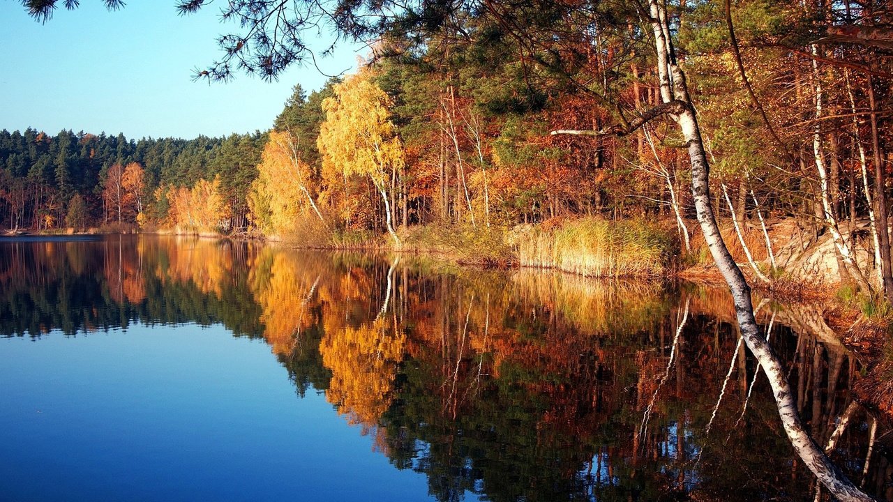 Обои деревья, озеро, природа, осень, trees, lake, nature, autumn разрешение 1920x1200 Загрузить