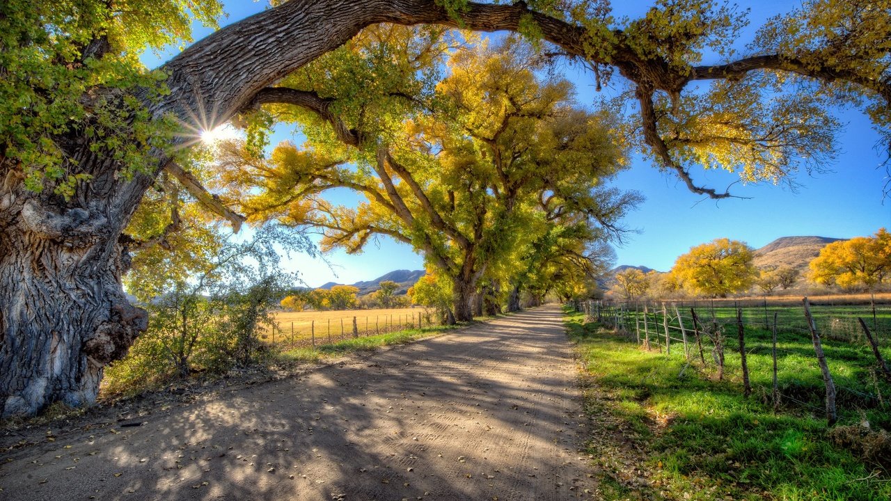 Обои небо, дорога, деревья, горы, поле, забор, солнечно, the sky, road, trees, mountains, field, the fence, sunny разрешение 2560x1600 Загрузить