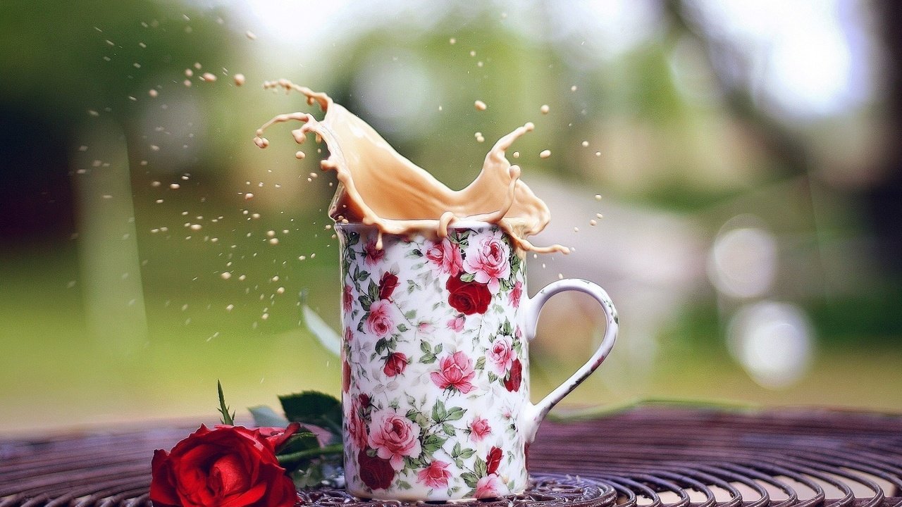 Обои роза, кофе, брызги, кружка, настроения, чашка, розочка, rose, coffee, squirt, mug, mood, cup, rosette разрешение 1920x1200 Загрузить