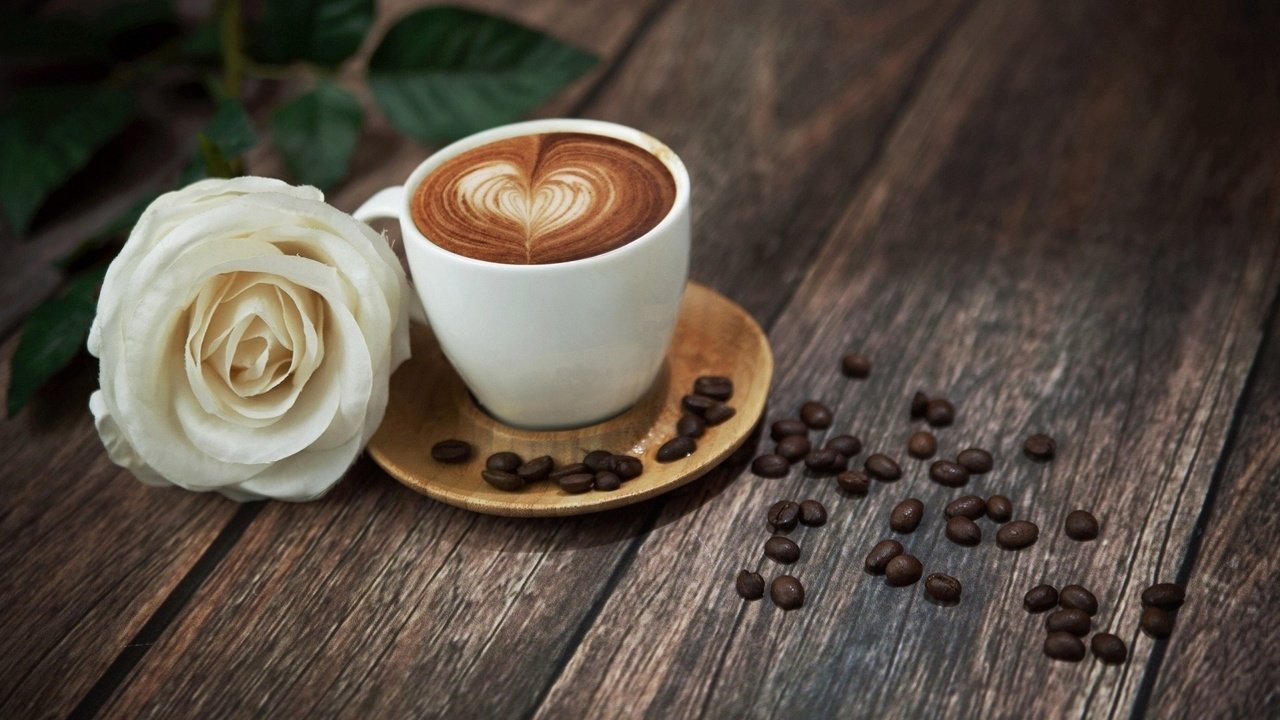 Обои цветок, роза, кофе, чашка, кофейные зерна, деревянная поверхность, flower, rose, coffee, cup, coffee beans, wooden surface разрешение 1920x1204 Загрузить