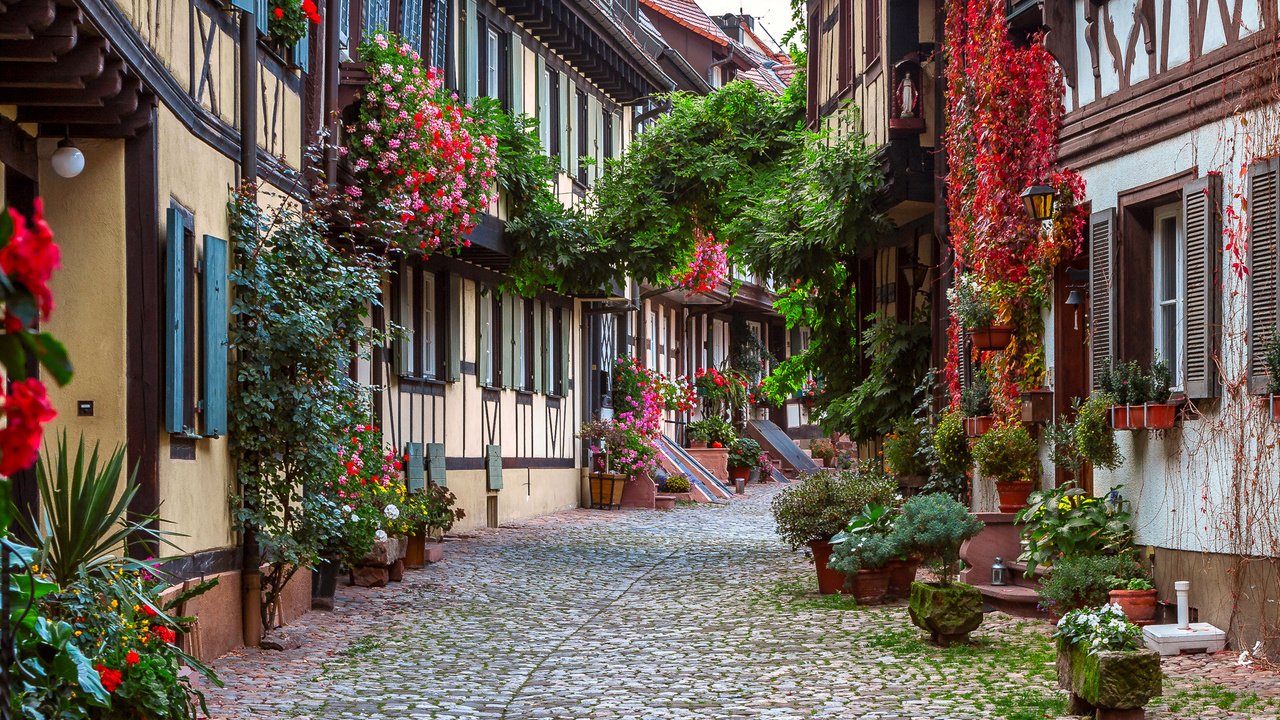 Обои цветы, дома, улица, германия, мостовая, генгенбах, flowers, home, street, germany, bridge, gengenbach разрешение 2048x1338 Загрузить