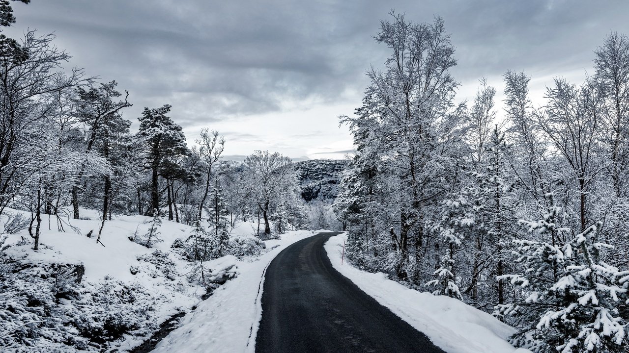 Обои небо, дорога, облака, деревья, снег, зима, чёрно-белое, the sky, road, clouds, trees, snow, winter, black and white разрешение 2880x1457 Загрузить