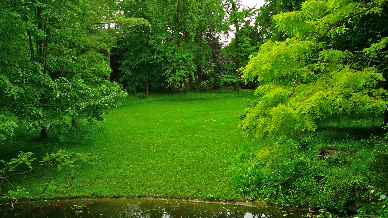 Обои трава, деревья, зелень, парк, пруд, франция, лужайка, albert-kahn japanese gardens, grass, trees, greens, park, pond, france, lawn разрешение 2592x1944 Загрузить