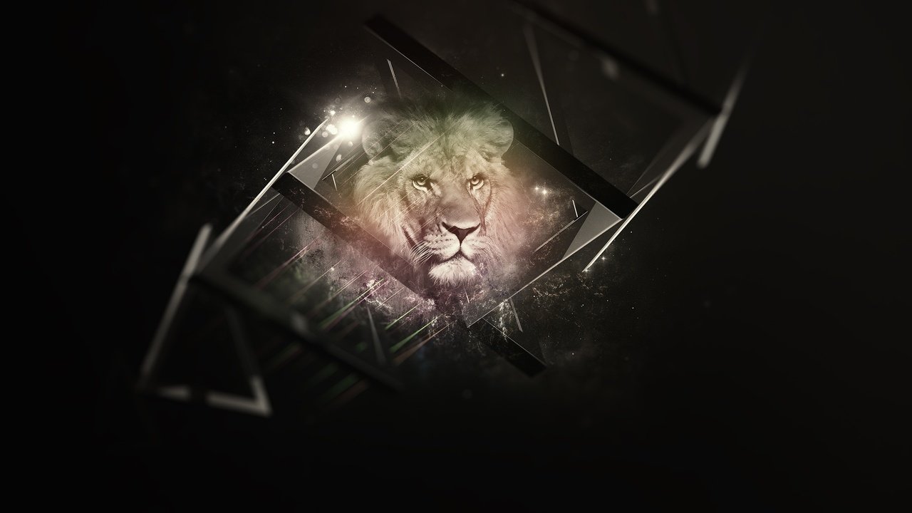 Обои фон, львёнок, блака, background, lion, black разрешение 2560x1440 Загрузить