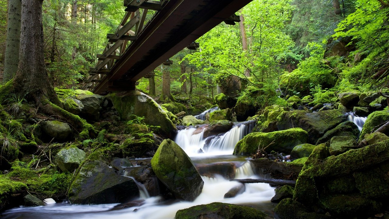 Обои скалы, камни, лес, мост, водопад, мох, германия, rocks, stones, forest, bridge, waterfall, moss, germany разрешение 3000x2000 Загрузить