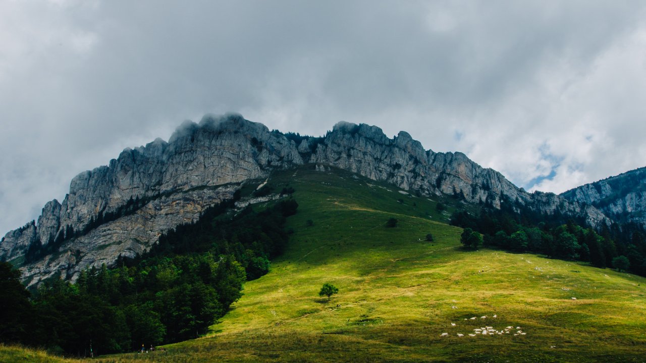 Обои деревья, горы, холмы, природа, trees, mountains, hills, nature разрешение 2048x1362 Загрузить