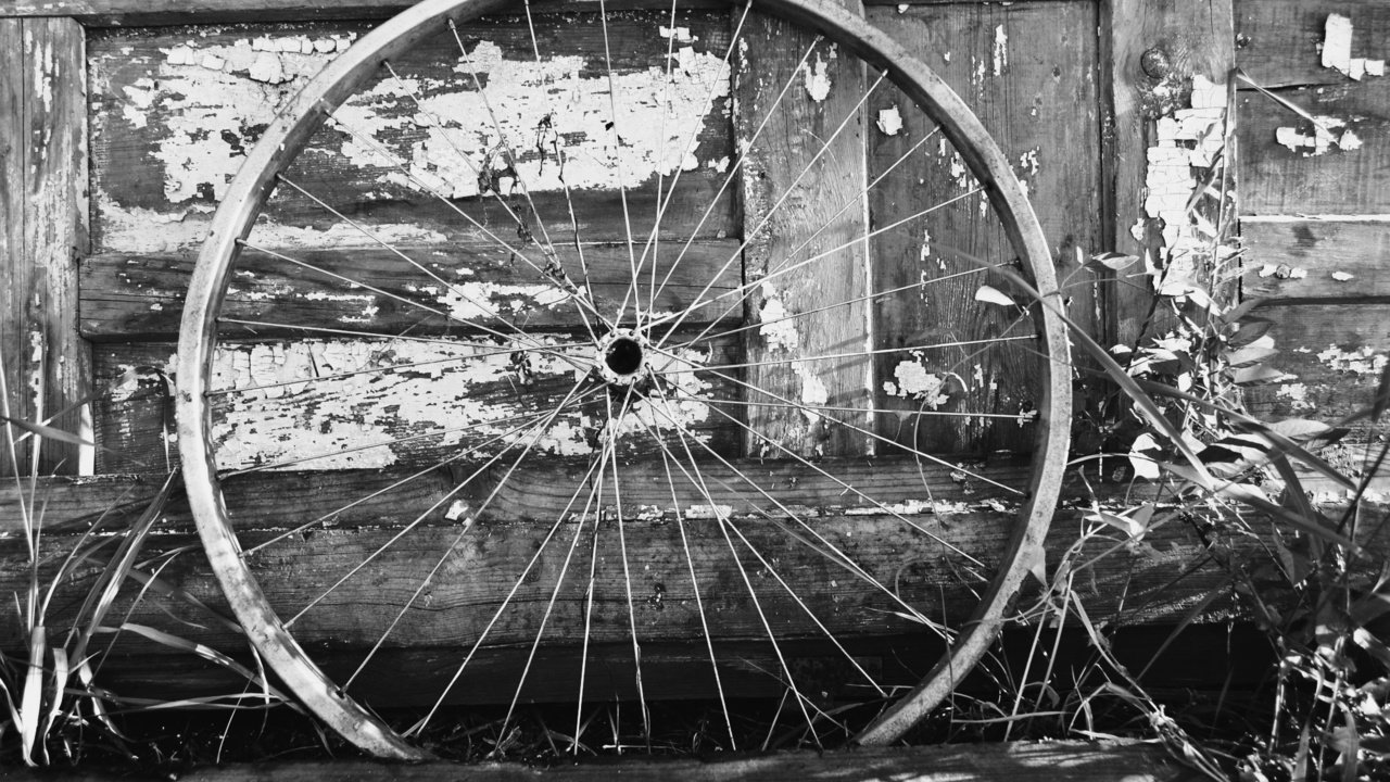 Обои колесо, белая, метал, велосипед, дерева, блака, bicycle wheel, wheel, white, metal, bike, wood, black разрешение 2000x1333 Загрузить