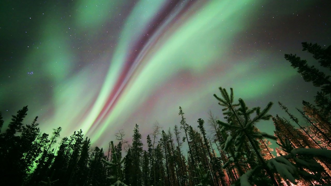 Обои небо, ночь, деревья, лес, звезды, северное сияние, aurora borealis, the sky, night, trees, forest, stars, northern lights разрешение 2048x1365 Загрузить