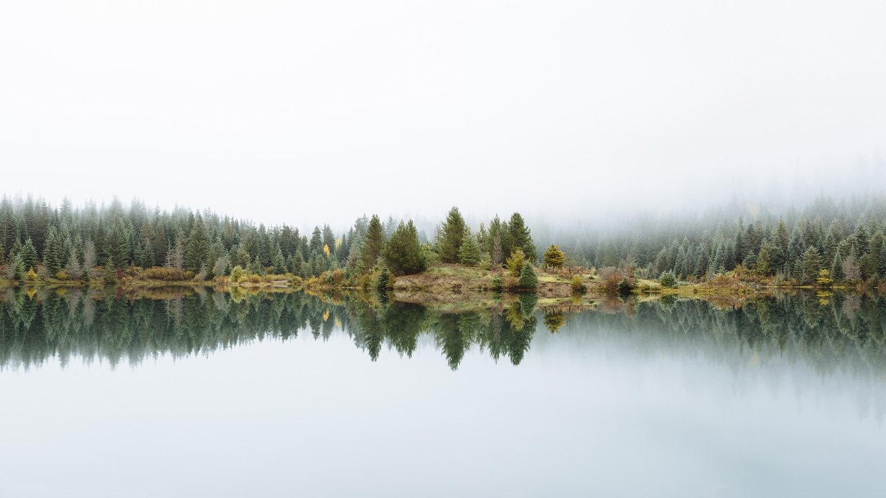 Обои деревья, озеро, природа, отражение, туман, trees, lake, nature, reflection, fog разрешение 2048x1152 Загрузить