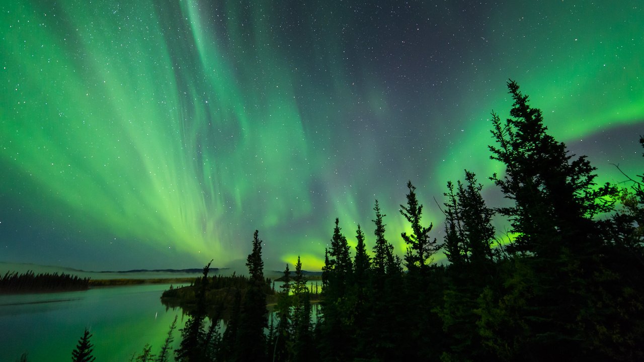 Обои небо, деревья, озеро, северное сияние, силуэты, aurora borealis, северные огни, the sky, trees, lake, northern lights, silhouettes разрешение 2048x1367 Загрузить