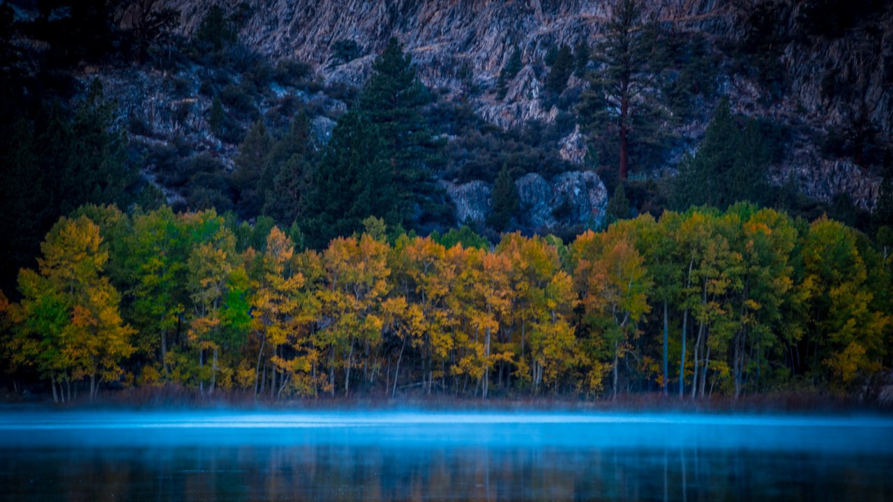 Обои деревья, осень, калифорния, тока, моно, соединенные штаты америки, trees, autumn, ca, current, mono, united states of america разрешение 2048x1367 Загрузить