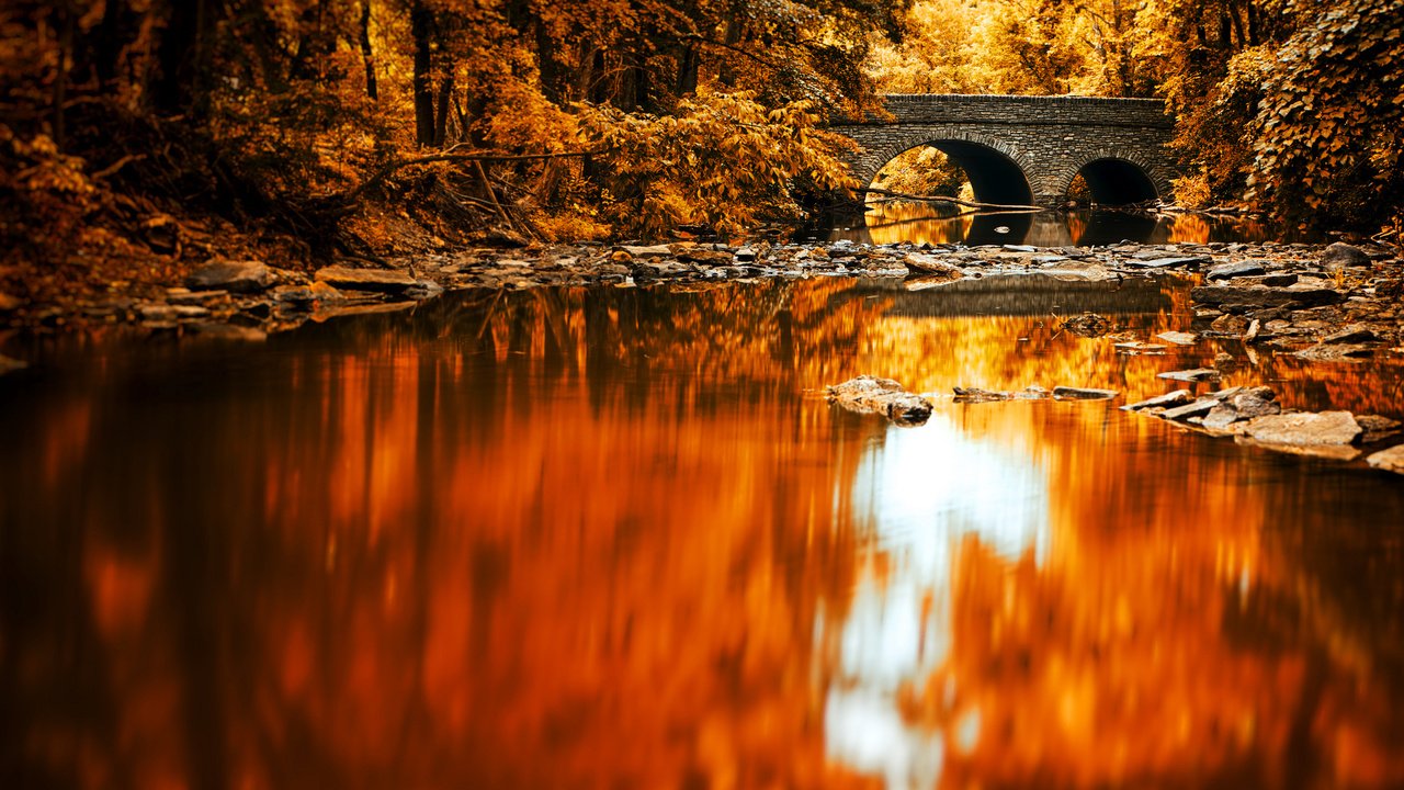 Обои озеро, река, лес, отражение, мост, осень, lake, river, forest, reflection, bridge, autumn разрешение 2048x1365 Загрузить
