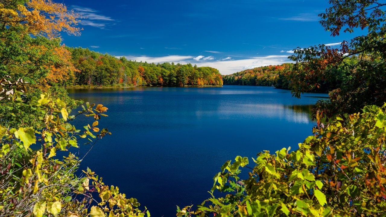 Обои деревья, нью - йорк, озеро, ветки, осень, штат нью-йорк, rockwood lake, adirondack park, озеро роквуд, парк адирондак, trees, new york, lake, branches, autumn, the state of new york, lake rockwood, the adirondack park разрешение 3579x2158 Загрузить