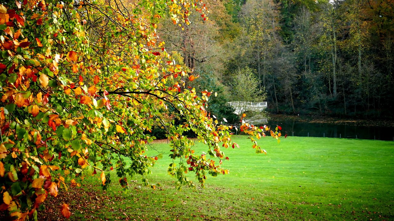 Обои деревья, пейзаж, поле, мост, лондон, осень, hampstead heath, trees, landscape, field, bridge, london, autumn разрешение 4327x2310 Загрузить