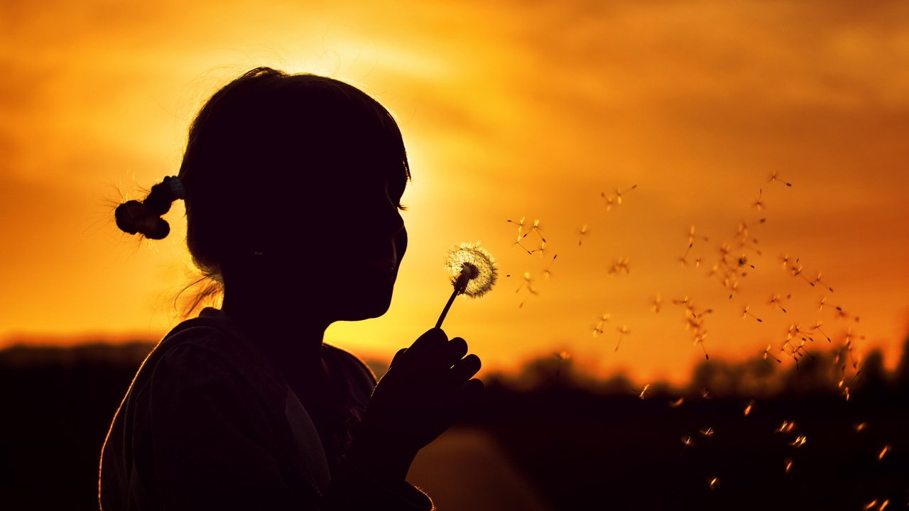 Обои природа, закат, девочка, силуэт, одуванчик, детство, nature, sunset, girl, silhouette, dandelion, childhood разрешение 2560x1600 Загрузить