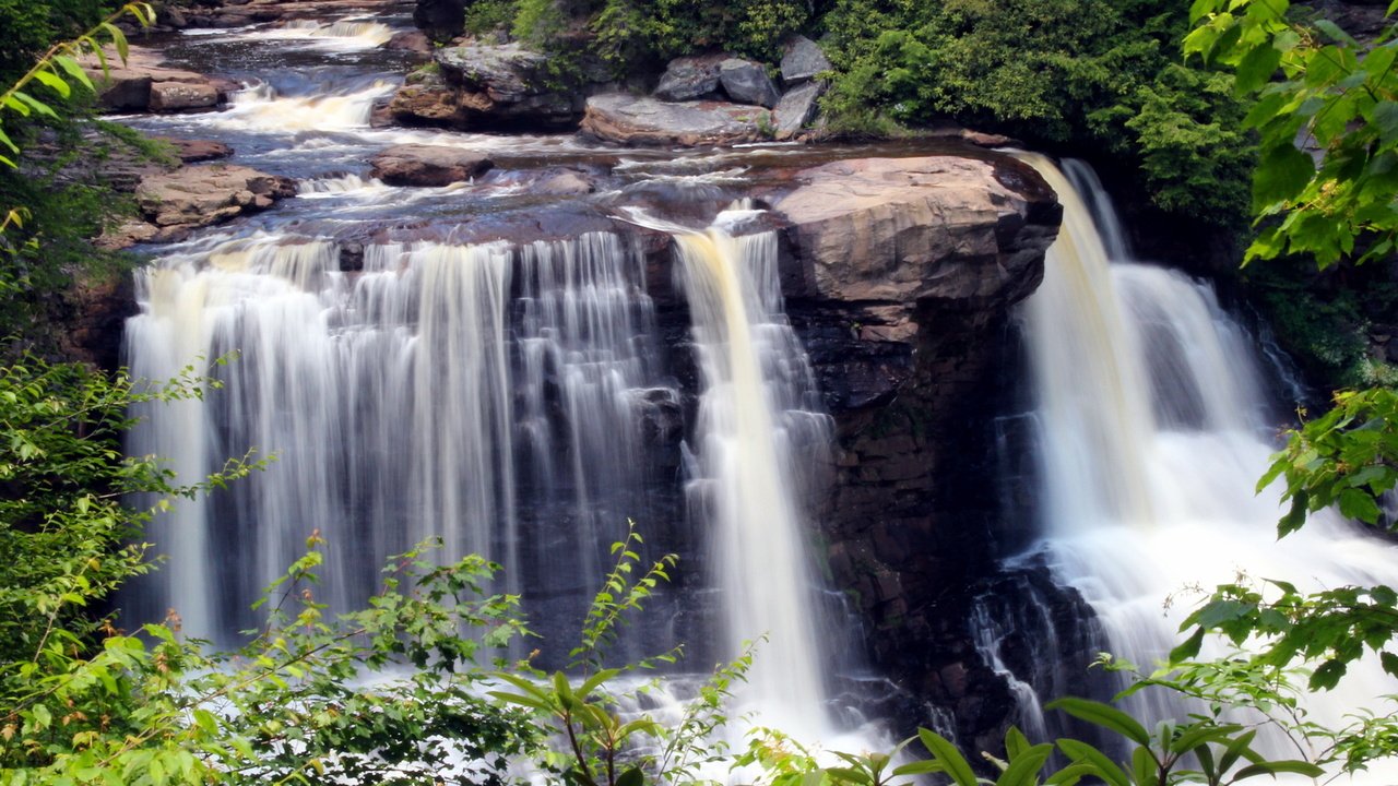 Обои камни, the park is blackwater fall, зелень, листья, ручей, ветки, водопад, сша, blackwater falls state park, парк блэкуотер-фолс, the park is blackwater falls, stones, greens, leaves, stream, branches, waterfall, usa разрешение 2160x1440 Загрузить