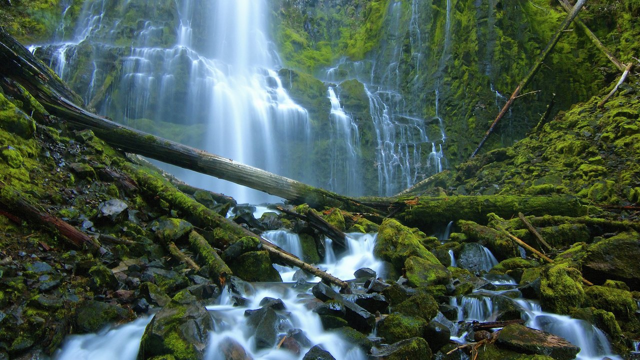 Обои камни, водопад, мох, бревна, орегон, каскад, stones, waterfall, moss, logs, oregon, cascade разрешение 2048x1365 Загрузить