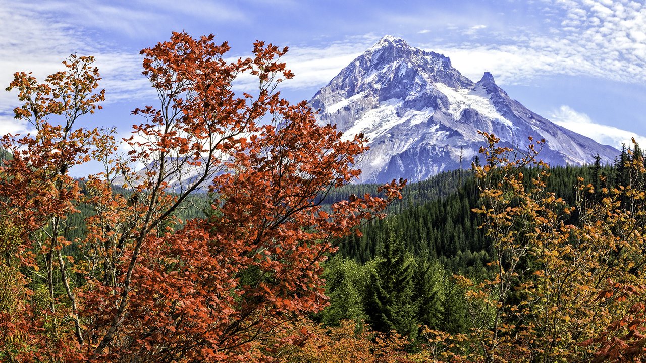 Обои деревья, горы, пейзаж, осень, trees, mountains, landscape, autumn разрешение 2000x1301 Загрузить