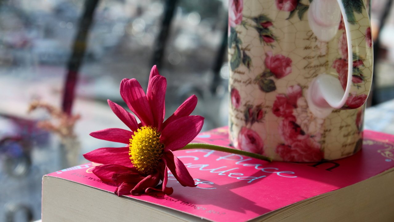 Обои цветок, лепестки, кружка, розовые, чашка, книга, flower, petals, mug, pink, cup, book разрешение 2560x1600 Загрузить