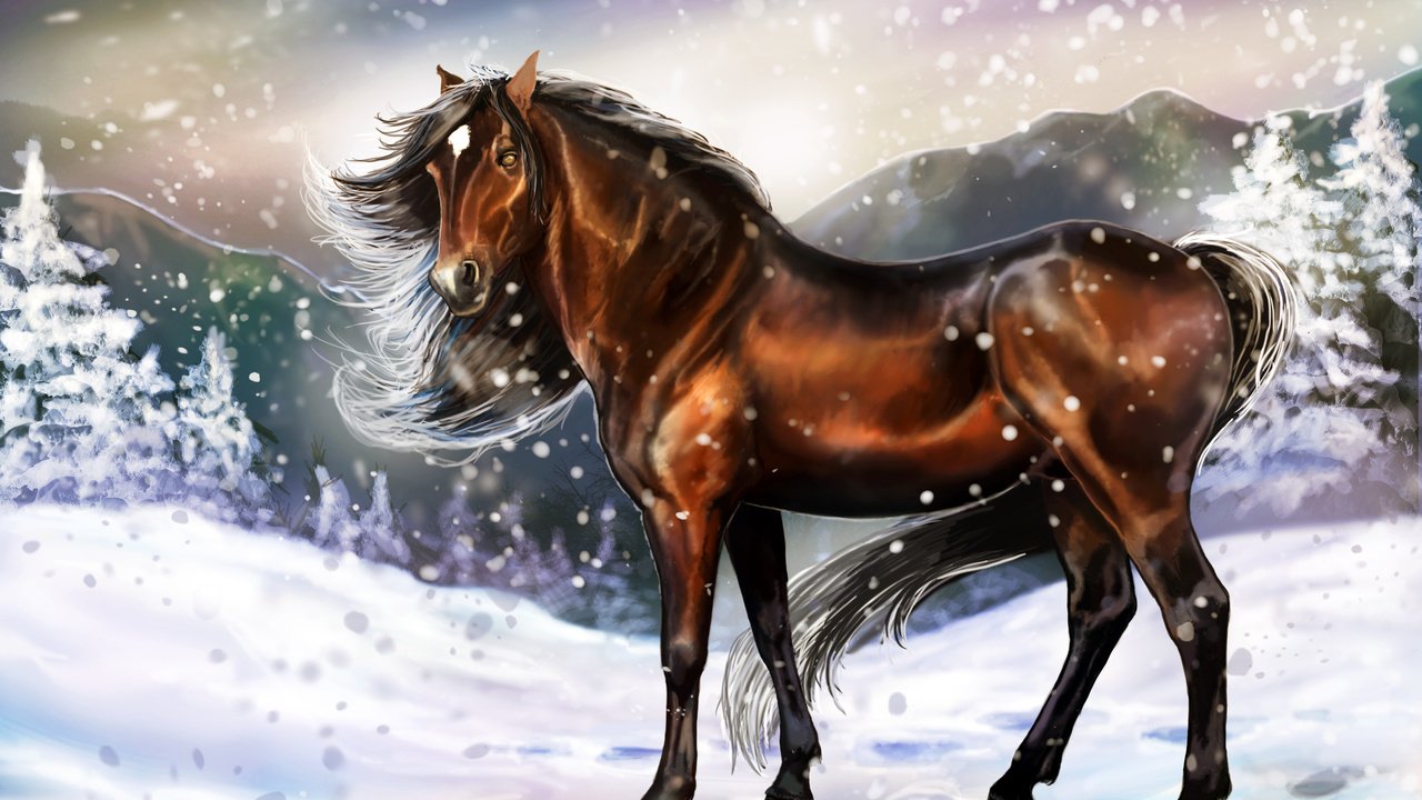 Обои арт, грива, лошадь, живопись, снег, зима, взгляд, холод, следы, животное, art, mane, horse, painting, snow, winter, look, cold, traces, animal разрешение 3634x2550 Загрузить