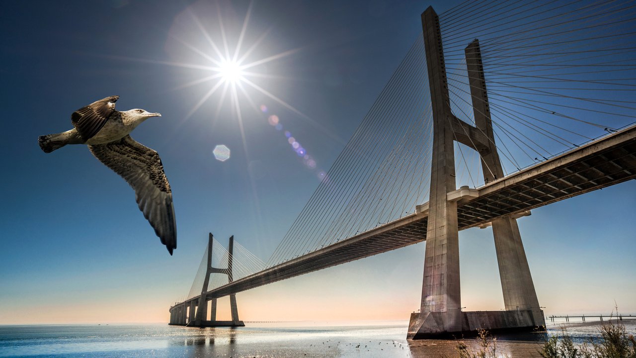 Обои мост, чайка, птица, португалия, лиссабон, bridge, seagull, bird, portugal, lisbon разрешение 2048x1272 Загрузить